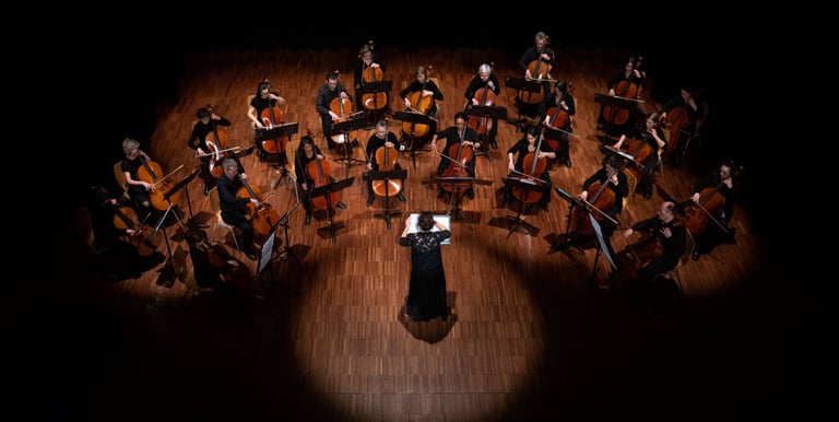 Le Triptik concert, Acigné – Cellimax, March 2025