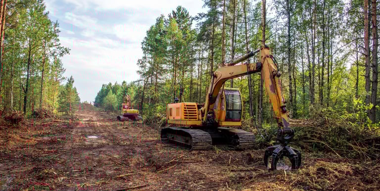 land clearing services Louisiana 