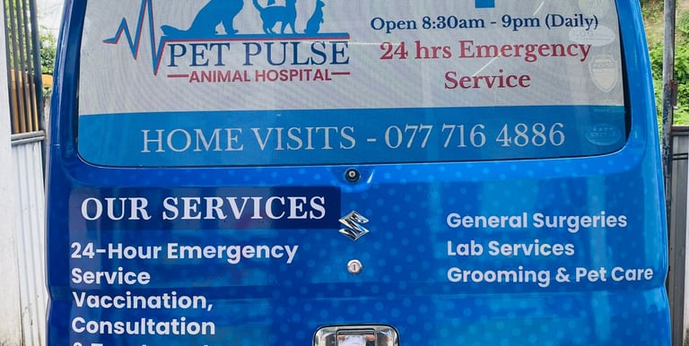 pet pulse animal hospital battaramulla pet pick up and drop off service for veterinary care