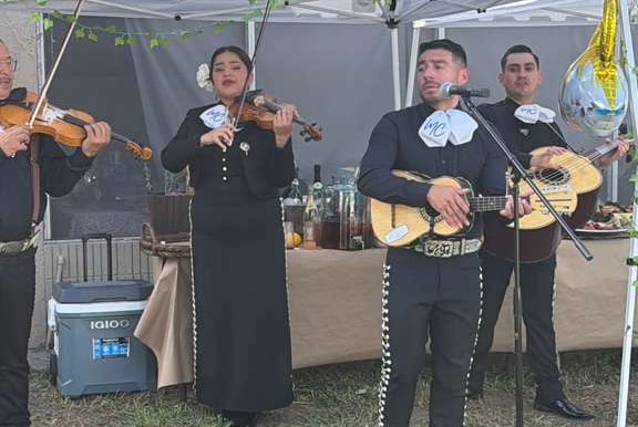 A traditional mariachi band in black charro suits performing with violins and guitars under a white canopy.