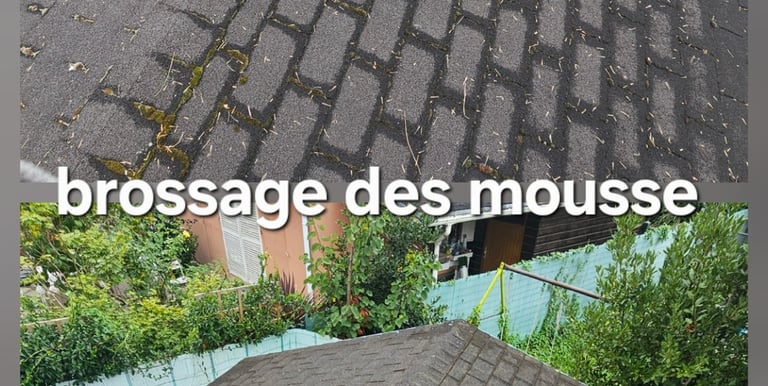 Brossage à manuellement plus traitement anti-mousse sur une toiture.