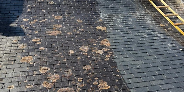 Before and after comparison of slate roof cleaning with moss removal and Dalep water repellent treatment.