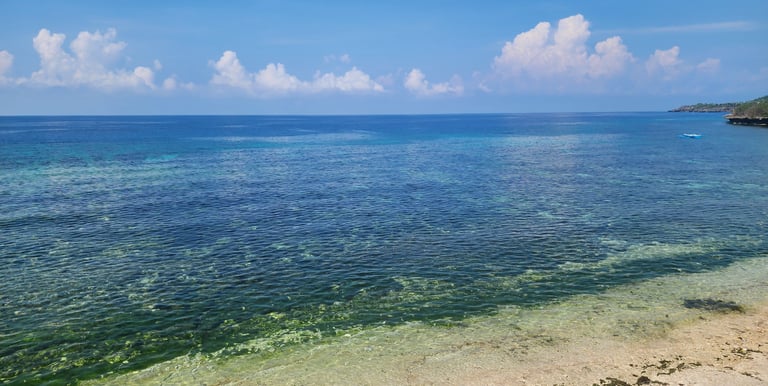 a wooden bench on the beach with a blue sky and clouds