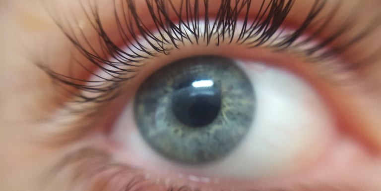 Thérapie EMDR sur Le Morbihan