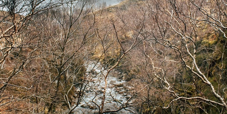 Pouvoir se connaitre a travers ses schémas de construction