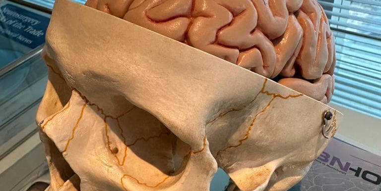 Doenças neurológicas tratadas pelo neurocirurgião