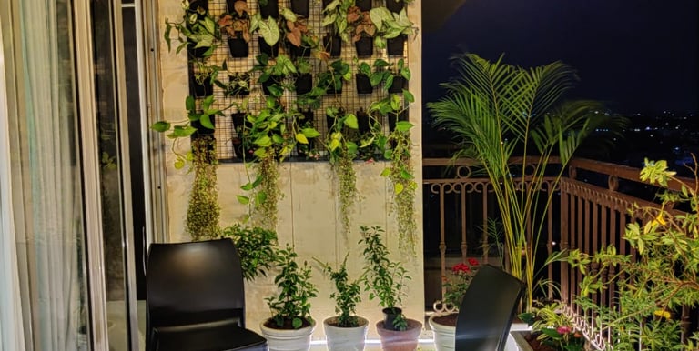 Professional gardening services in Bangalore, showcasing a tidy and vibrant residential lawn by Mygreenearth