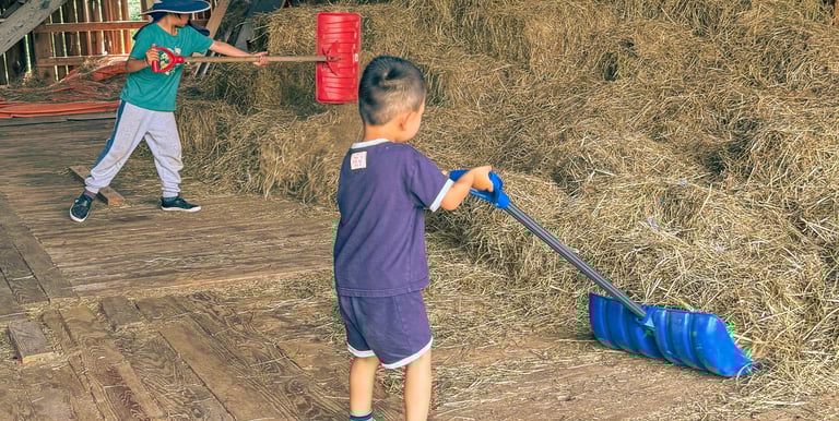 a young boy is holding a broom and a broom