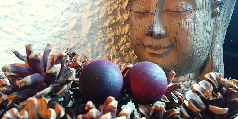 Le calme et l'attitude zen en Montagne à Montgenèvre