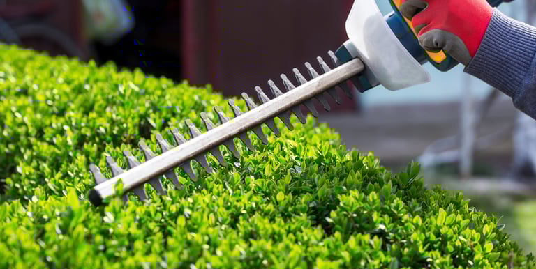 Maintain your landscape throughout the year with precision shrub trimming services.