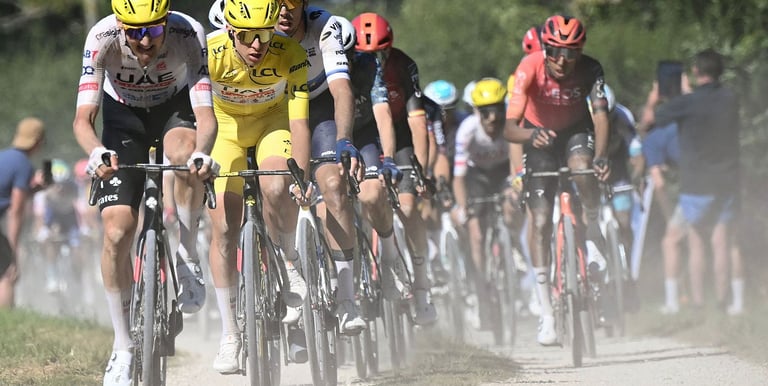 alt="Distribución de bicicletas por Alberto Valiente"