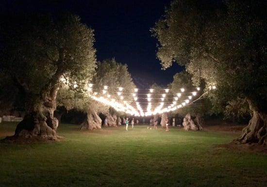 wedding villa and a group of people standing around a large tree