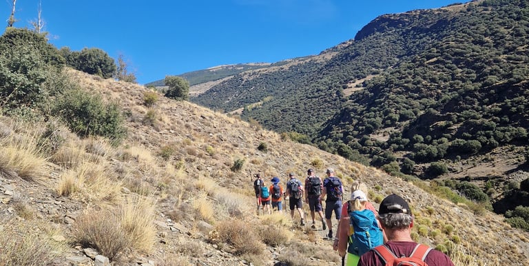a group of people walking up a hill