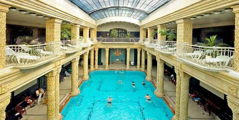 a large indoor swimming pool with a skylight
