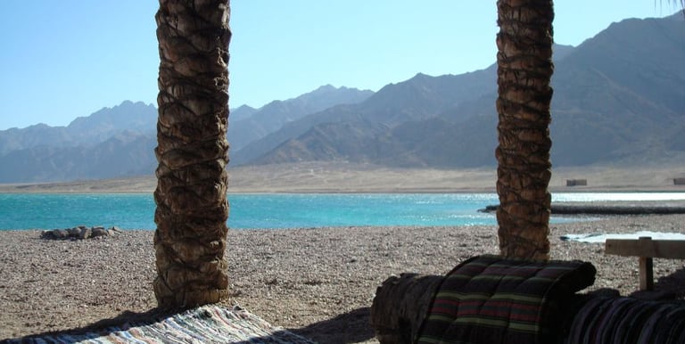 Reise zum Laguna Bedouin Star am Roten Meer