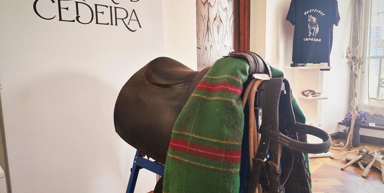 Exposiciones temporales Museo Terras de Cedeira