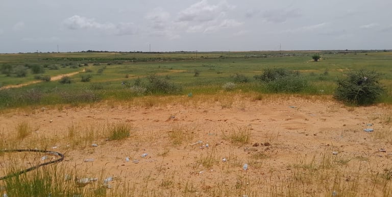 Domaine de 30 000 ha légèrement valonné