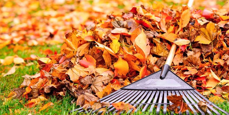 Yard clean up at Kikubari Property Maintenance