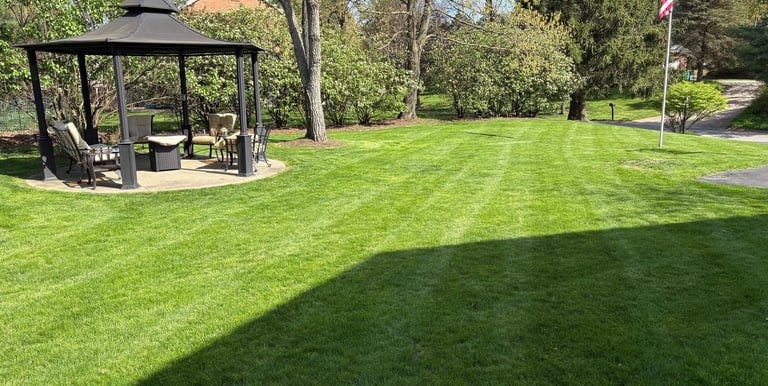 Lawn Care Fox Chapel, PA