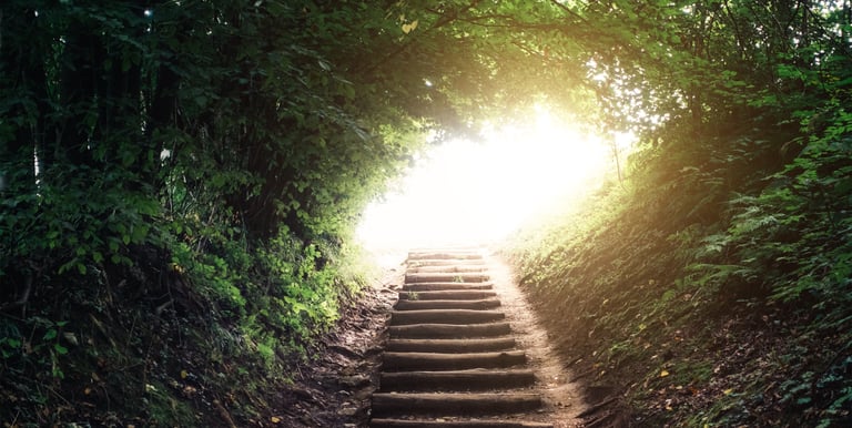 Camino ascendente con escalones. Todo está rodeado de vegetación, pero al fondo se ve una luz