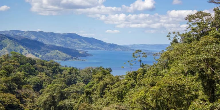 Scenic view of a lush tropical rainforest overlooking a blue lake and distant mountains under a cloudy sky.