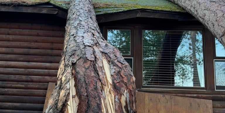 tree damage cottage