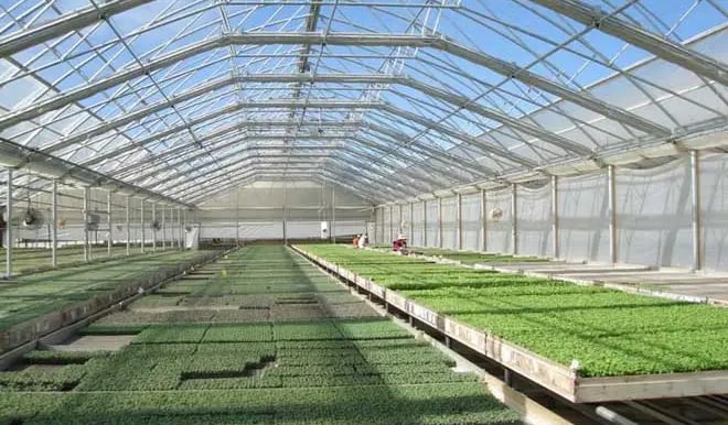 We build your Greenhouse Dream