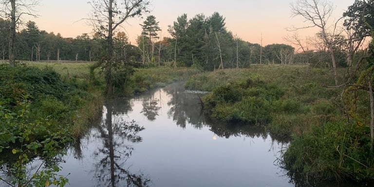 Massachusetts Notice of Intent