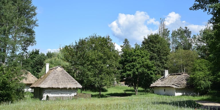 Wysoka trawa. Pośród niej drewniane bielone domki kryte strzechą. Muzeum wsi Kieleckiej.