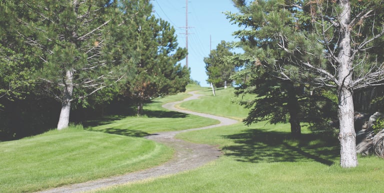a park bench with a bench and a bench in the grass