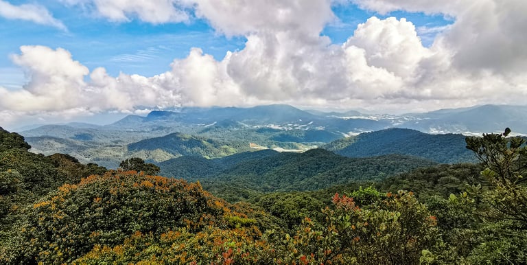 Cameron Highlands