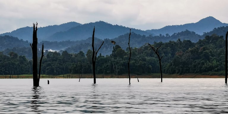 Khao Sok National Park