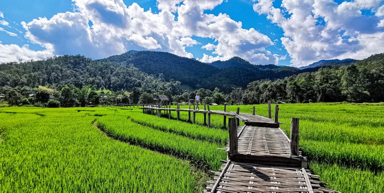 Bamboo Bridge - Pai