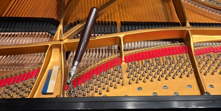 Paradise Piano tuning