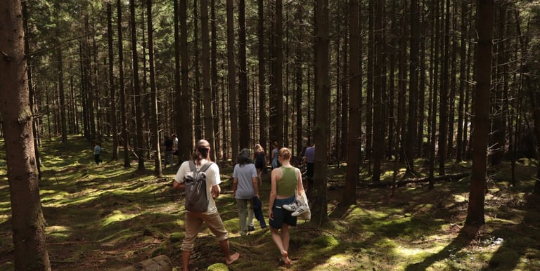 a group of people walking through a forest