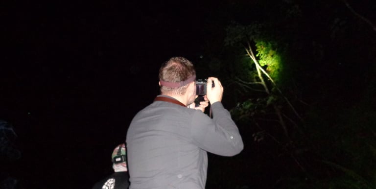 a man taking a picture of a wildlife on a tree during night wildlife photography
