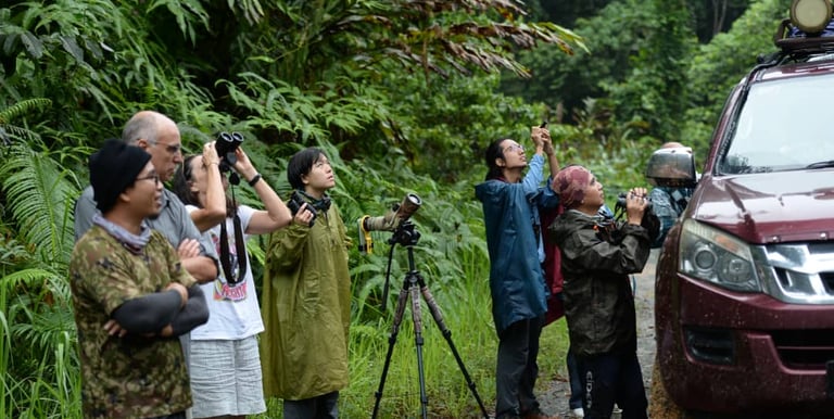 a group of people standing around a vehicle while birding at Deramakot forest reserve