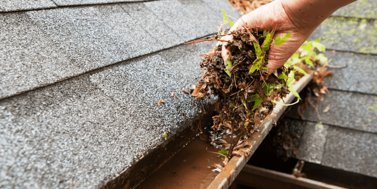 Jackton Gutter Clearing