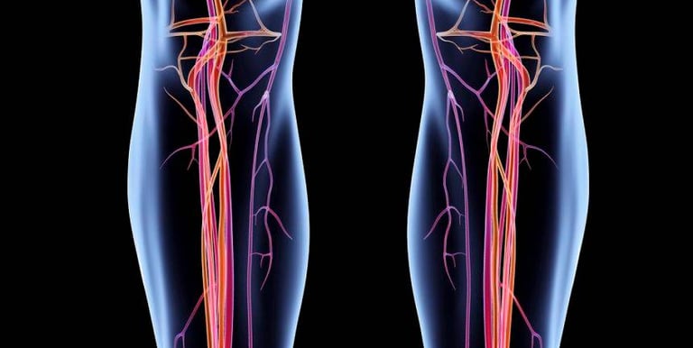 a pair of legs with a vein vein vein vein