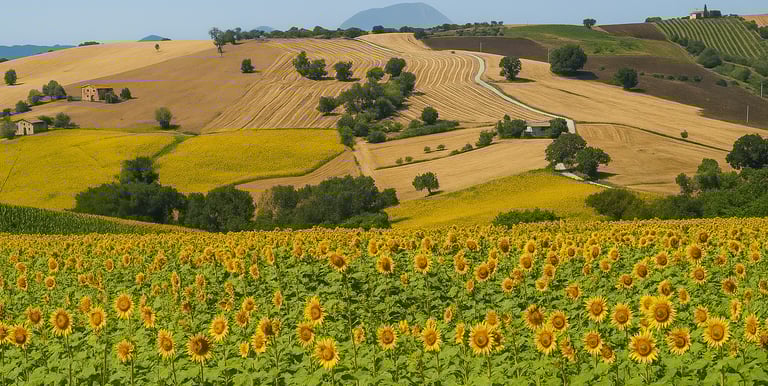 Balcone Marche vista mare Adriatico storico