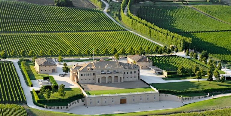Pollenza vigneti e arte colline Marche