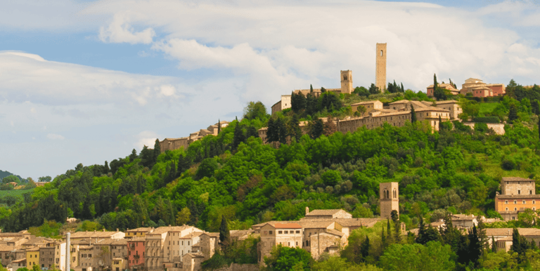Vigneti Vernaccia e colline dolci Marche