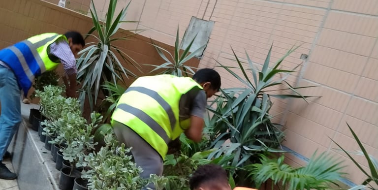 newgreentouch Landscaping plant care
