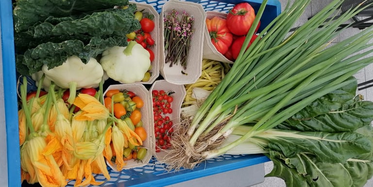 Bos mit frischem Gemüse