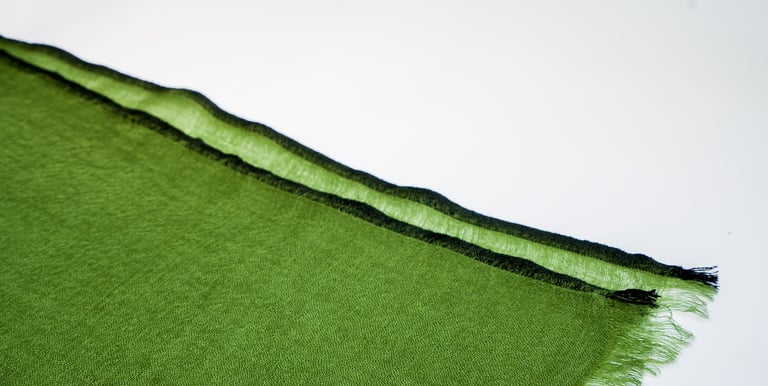 Close-up of green pashmina scarf with soft fringe edges and black border, displayed on white surface