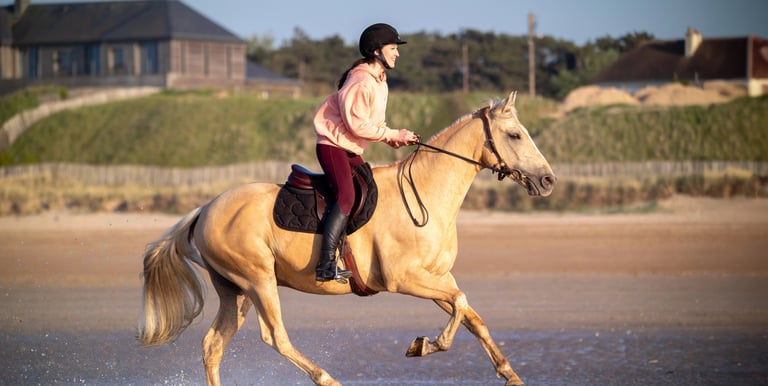 couple cavalier cheval au galop a la mer