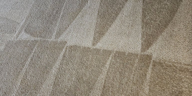 Professional carpet cleaning results showing fresh triangle vacuum patterns on tan plush flooring.