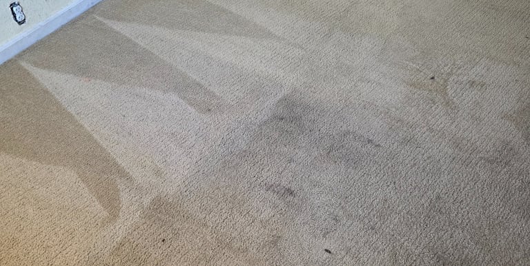 Professional steam cleaning wand removing deep stains from a beige residential carpet floor.