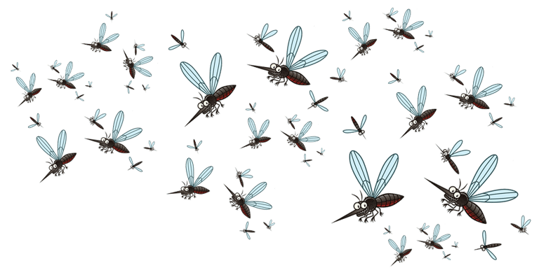 Élimination des larves dans un récupérateur d’eau