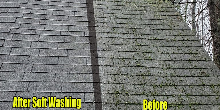 Before and after cleaning a shingle roof